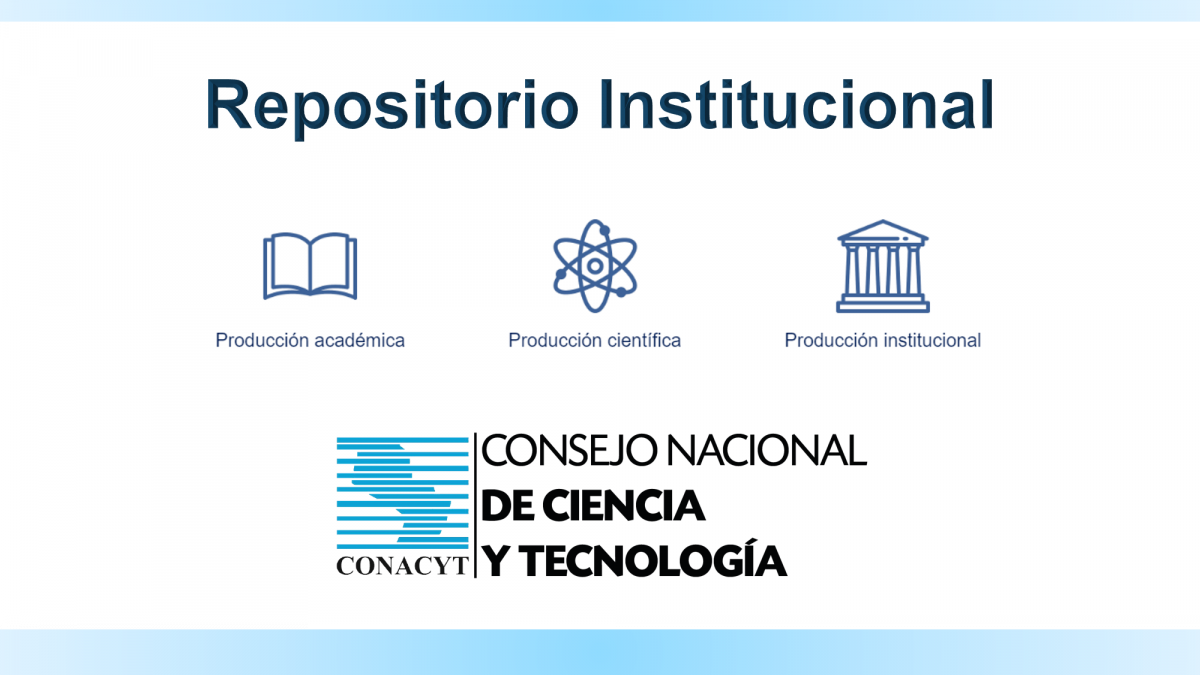 REPOSITORIO